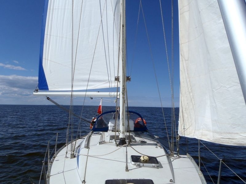 Comet 420 | Koalicja