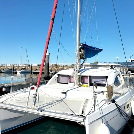 Leopard 38 | Molinillo