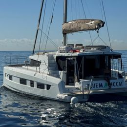 Bali 4.2 | Blue Magic Cat 5