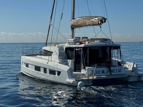 Bali 4.2 | Blue Magic Cat 5