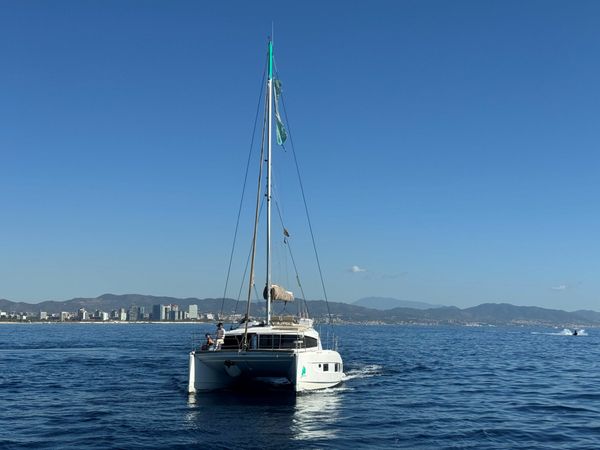 Bali 4.2 | Blue Magic Cat 5