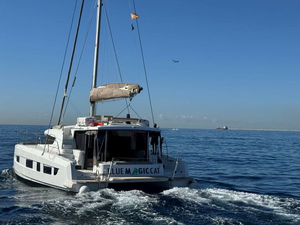 Bali 4.2 | Blue Magic Cat 5