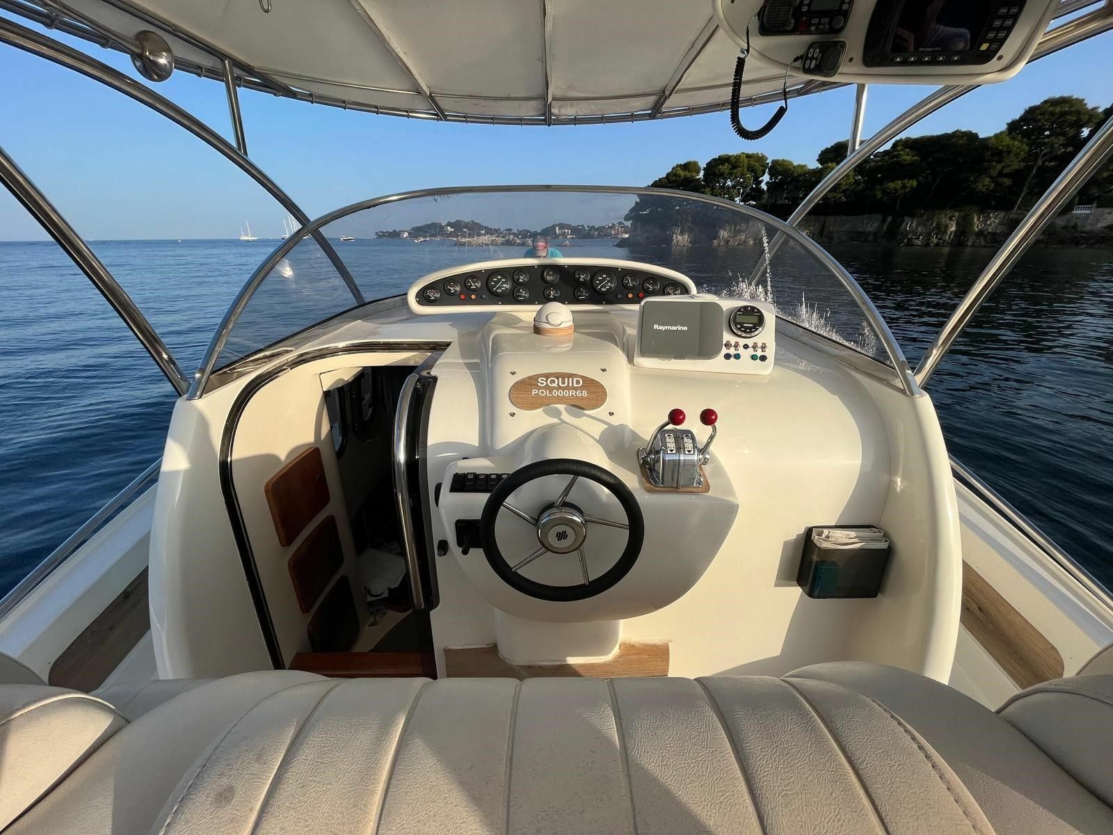 Firebird F36 | Squid