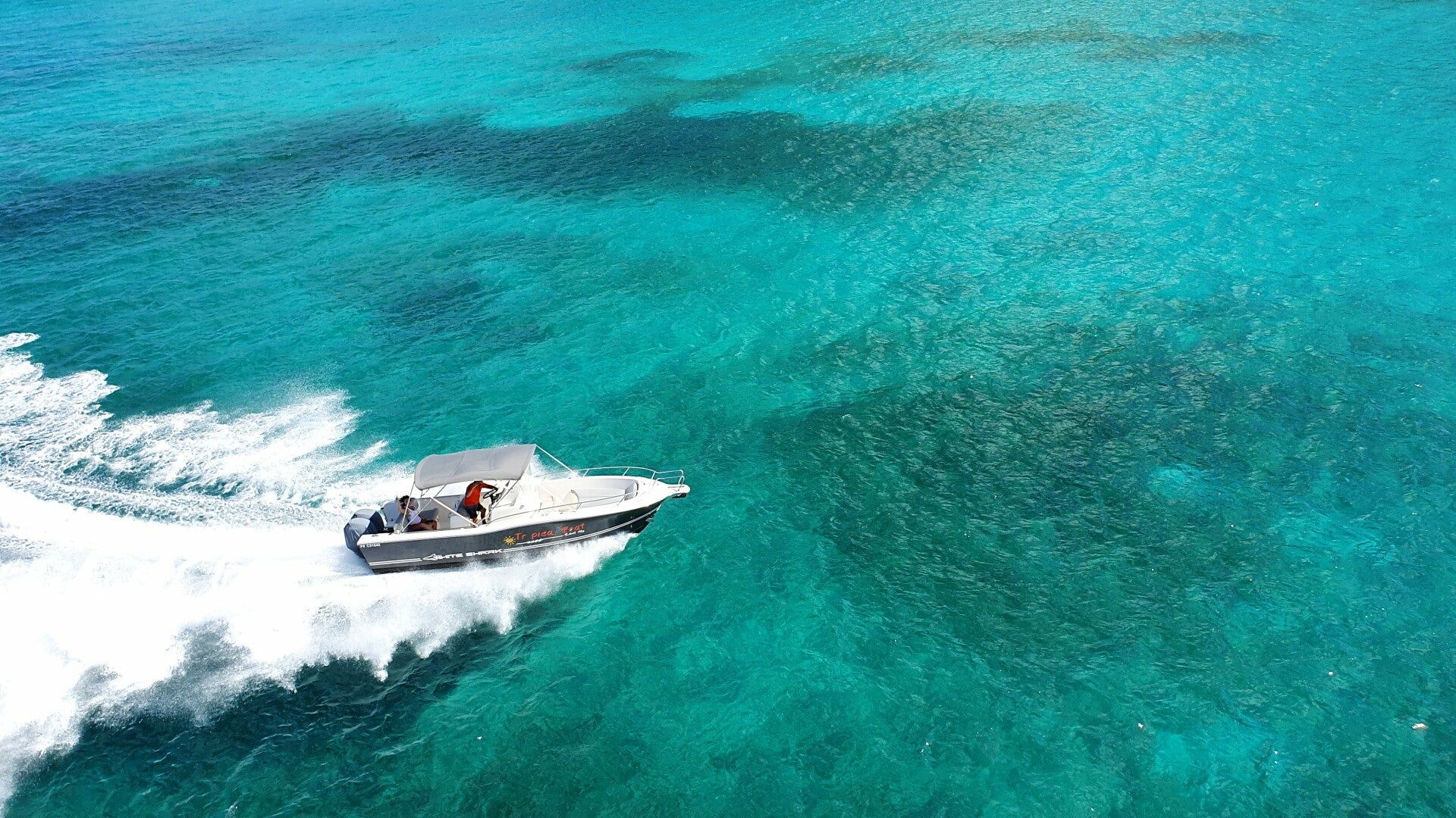 White Shark 265 | Axurit