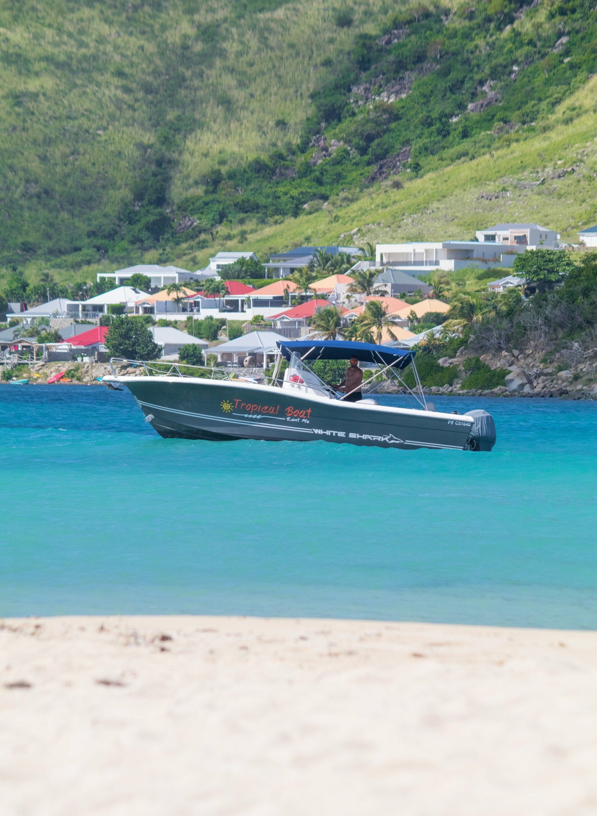 White Shark 265 | Axurit