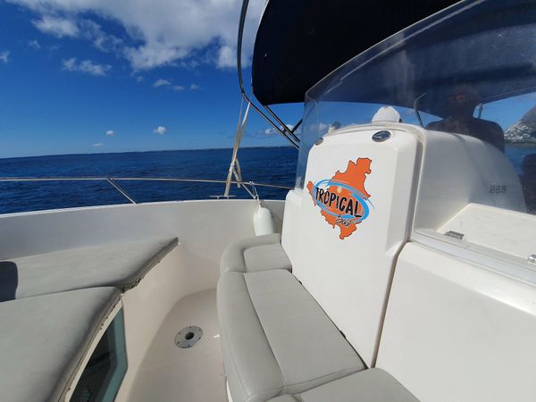 White Shark 265 | Axurit