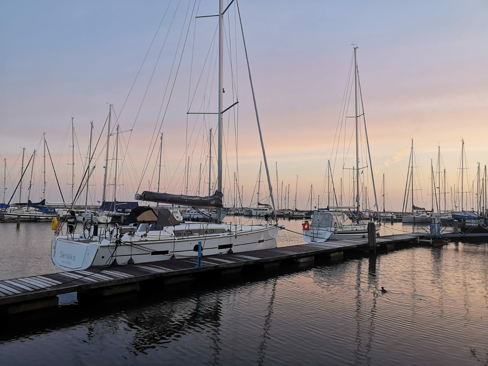 Dufour 460 GL | Seneko