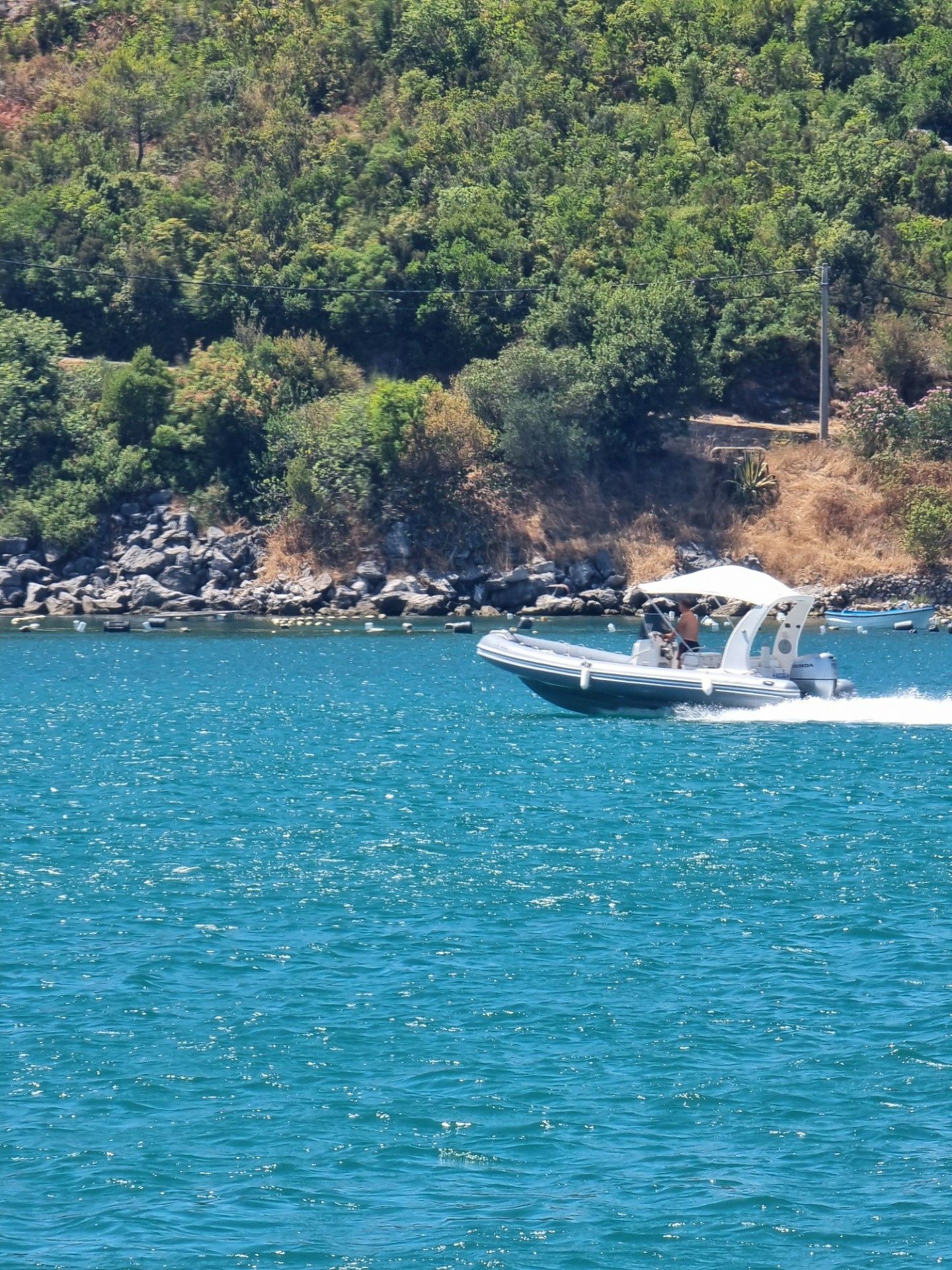 Nuova Jolly 660 | Jolly