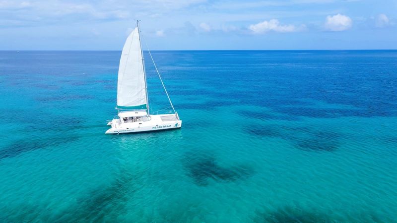 Voyage 470 | Ms Aristo Kat