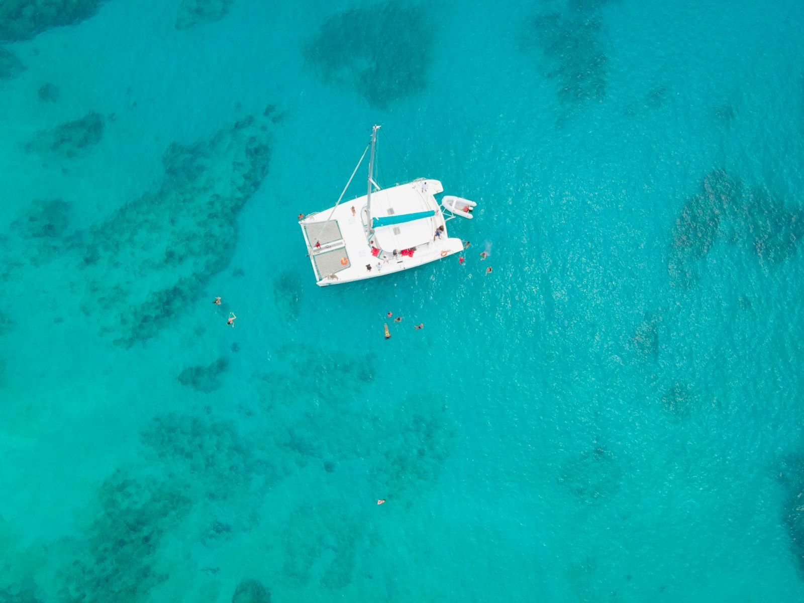 Voyage 470 | Ms Aristo Kat