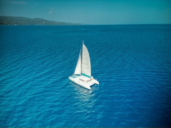 Voyage 470 | Ms Aristo Kat