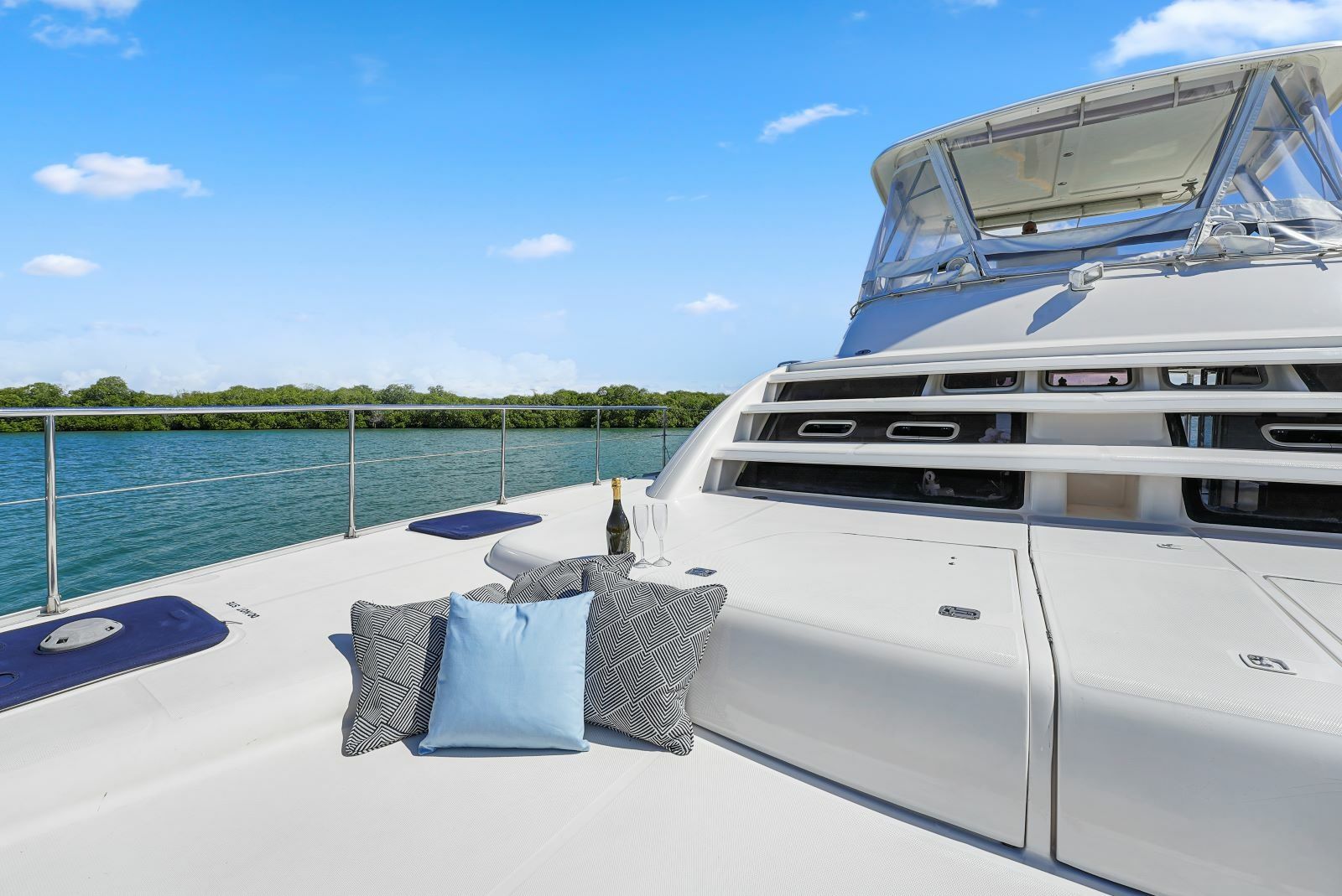 Leopard 47 | Fancy Kat