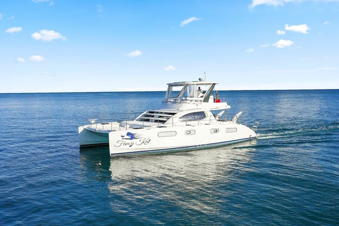 Leopard 47 | Fancy Kat