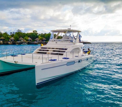 Leopard 47 | Fancy Kat