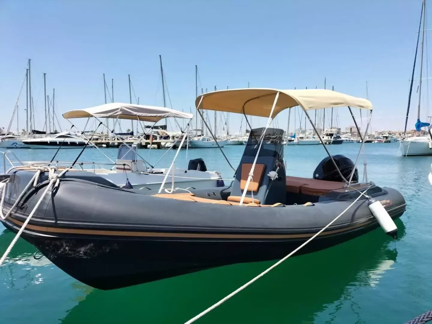 Almarine 585 | La Pantera Negra