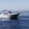 Salpa Soleil 23 | Black Pearl