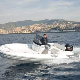 Salpa Soleil 23 | Black Pearl