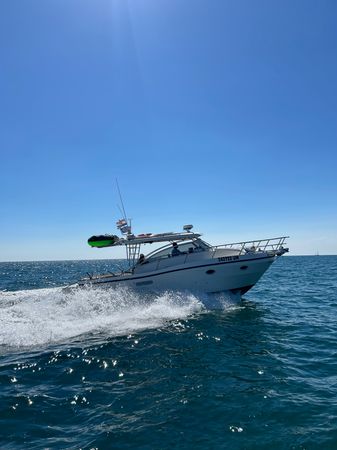 Polyform Triakis C30 | Divina