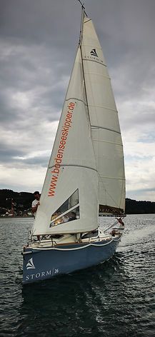 Storm 26 | Blue Papillon