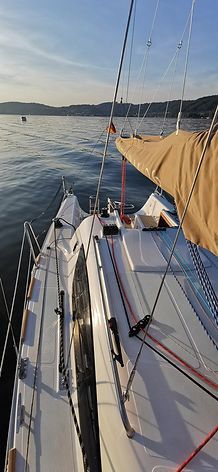 Storm 26 | Blue Papillon