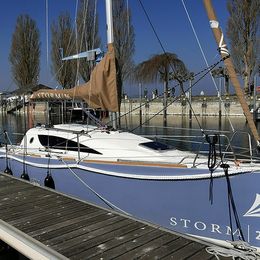 Storm 26 | Blue Papillon