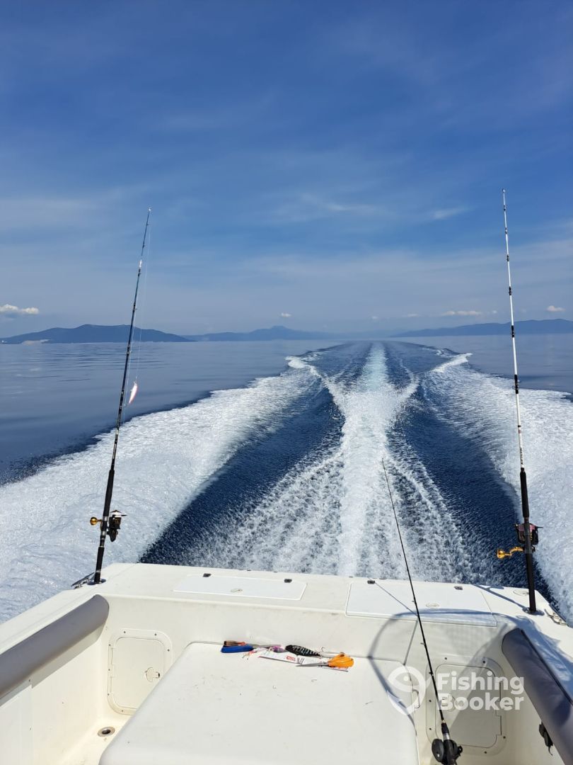 Sport Craft 252 | Dr.Dentex