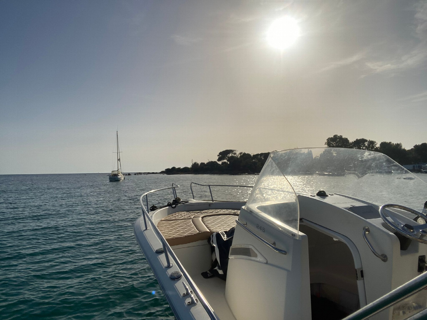 White Shark 245 | 09