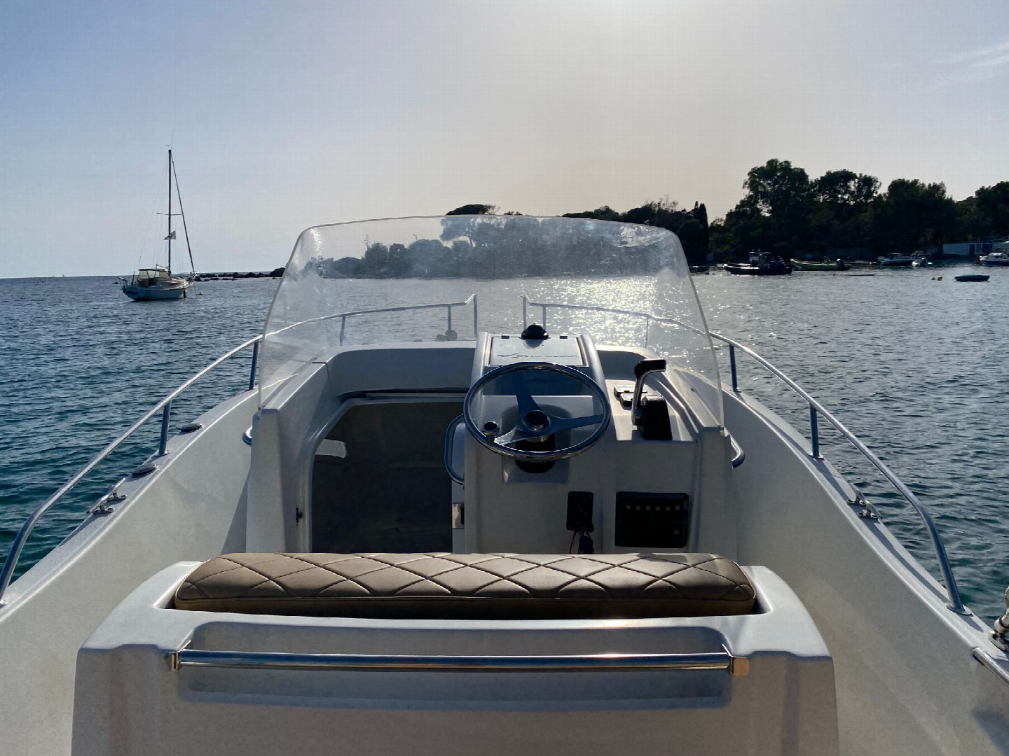 White Shark 245 | 09