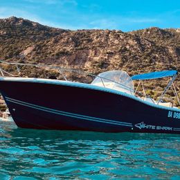 White Shark 245 | 09