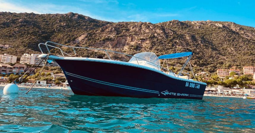 White Shark 245 | 09