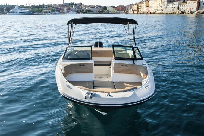 Sea Ray 190 SPX | 24