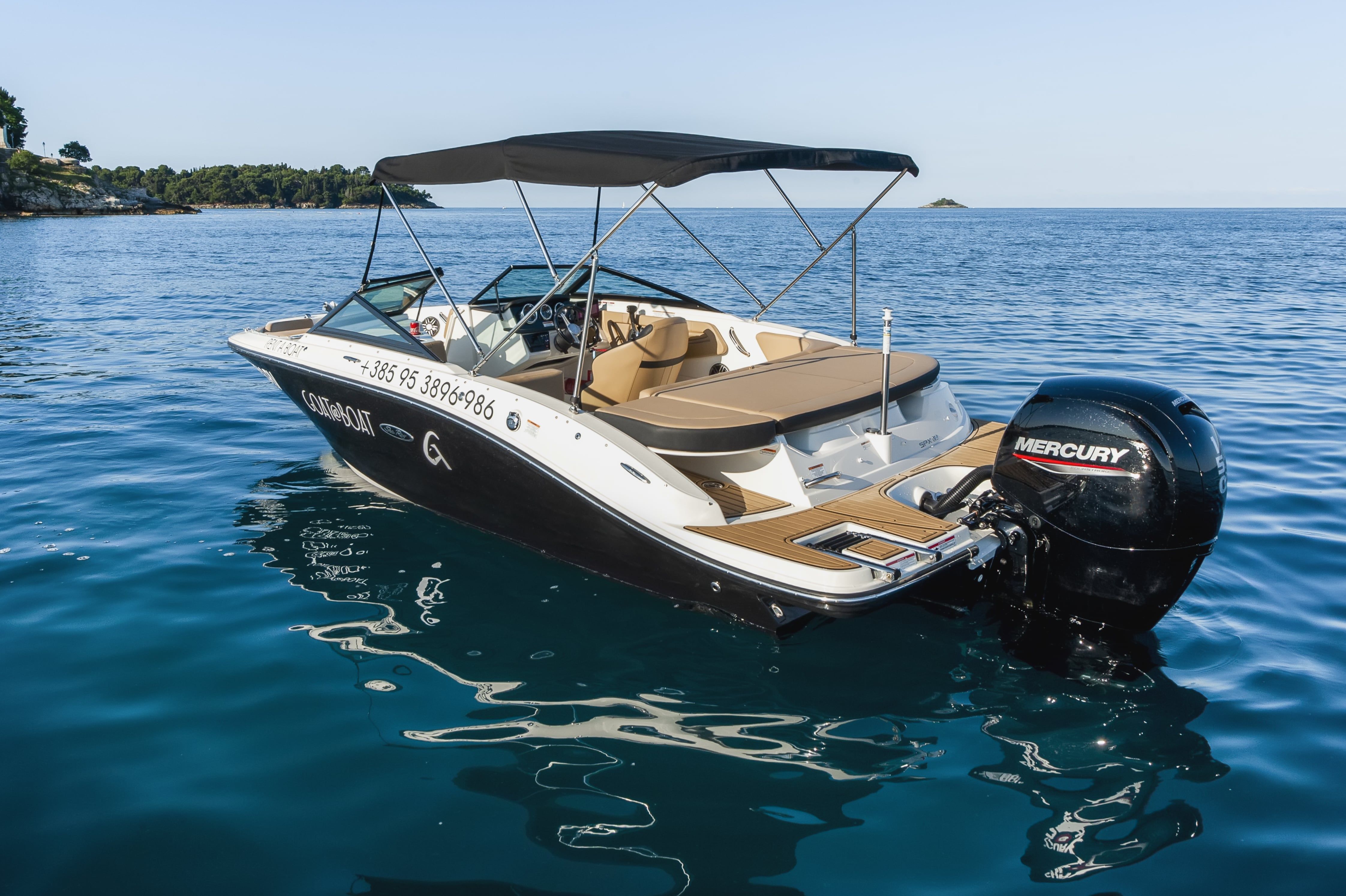 Sea Ray 190 SPX | 24