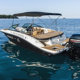 Sea Ray 190 SPX | 24