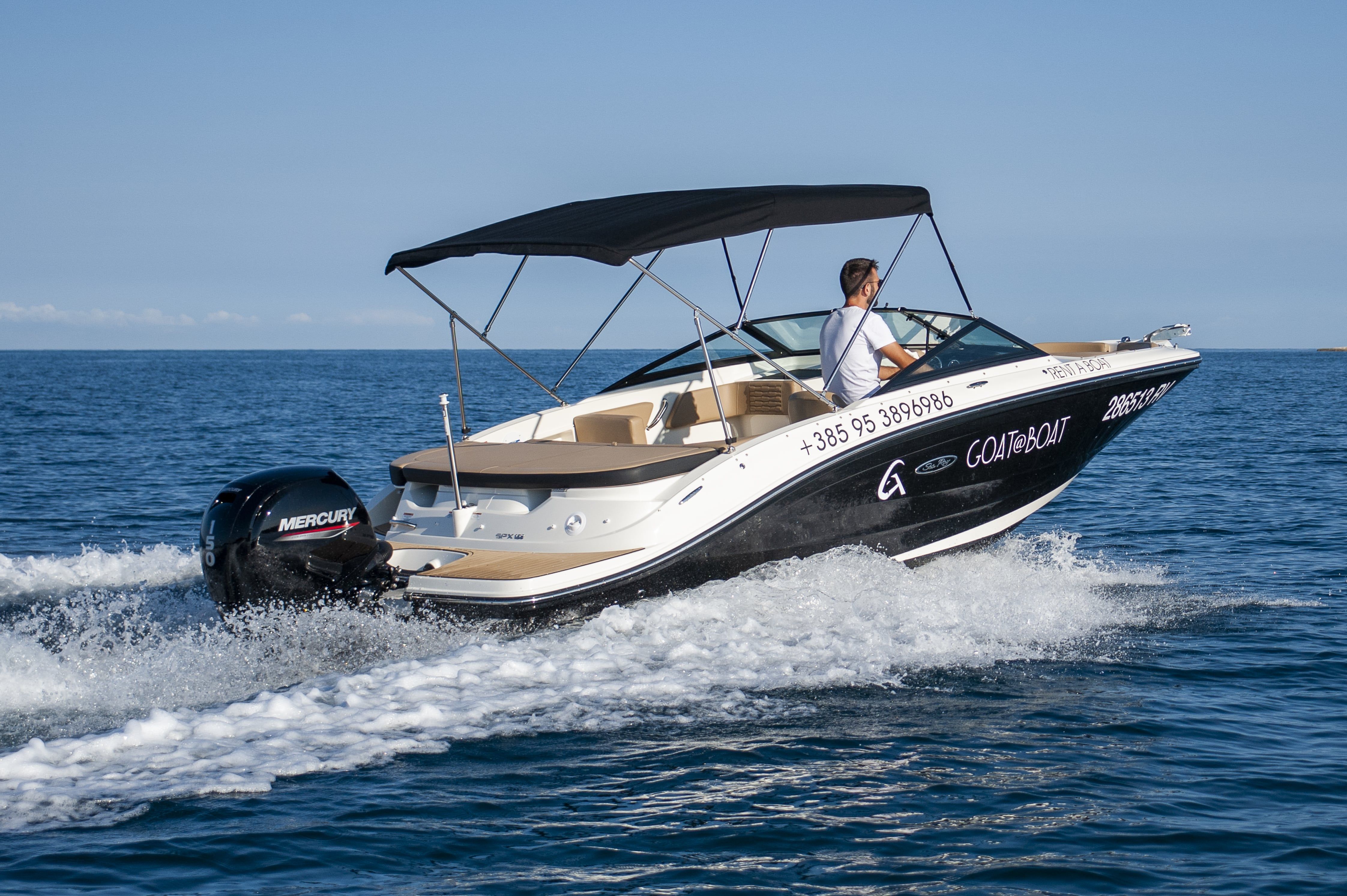 Sea Ray 190 SPX | 24