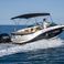 Sea Ray 190 SPX | 24