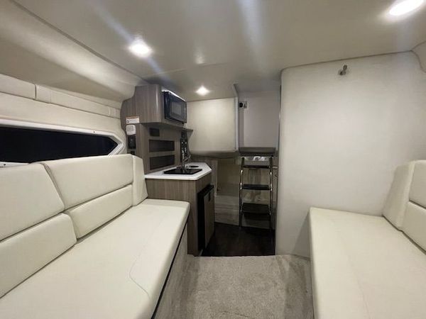 Regal 26 | Lexcellent 2