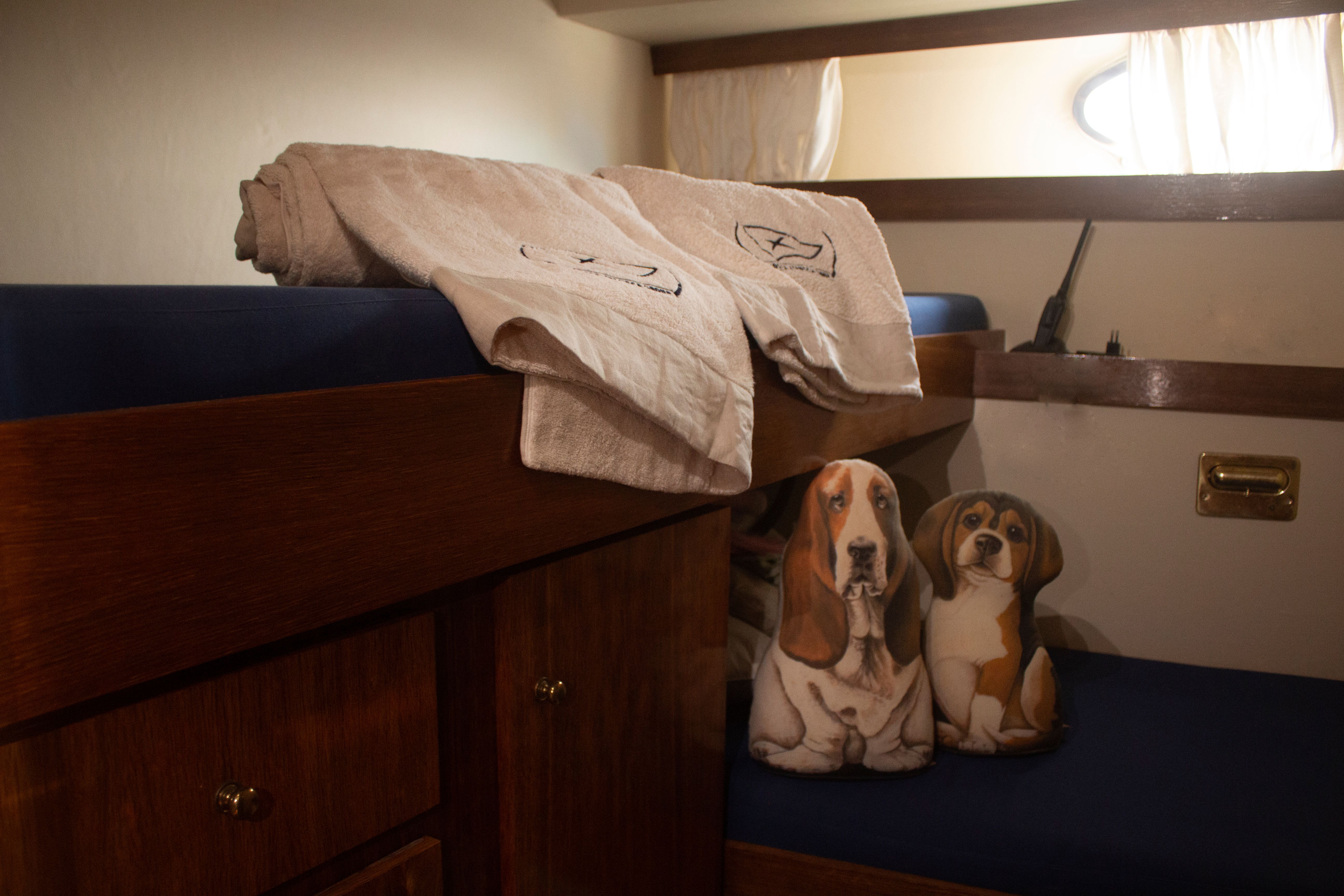 Piantoni 46 | Free Horse