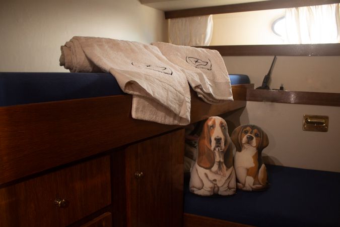 Piantoni 46 | Free Horse