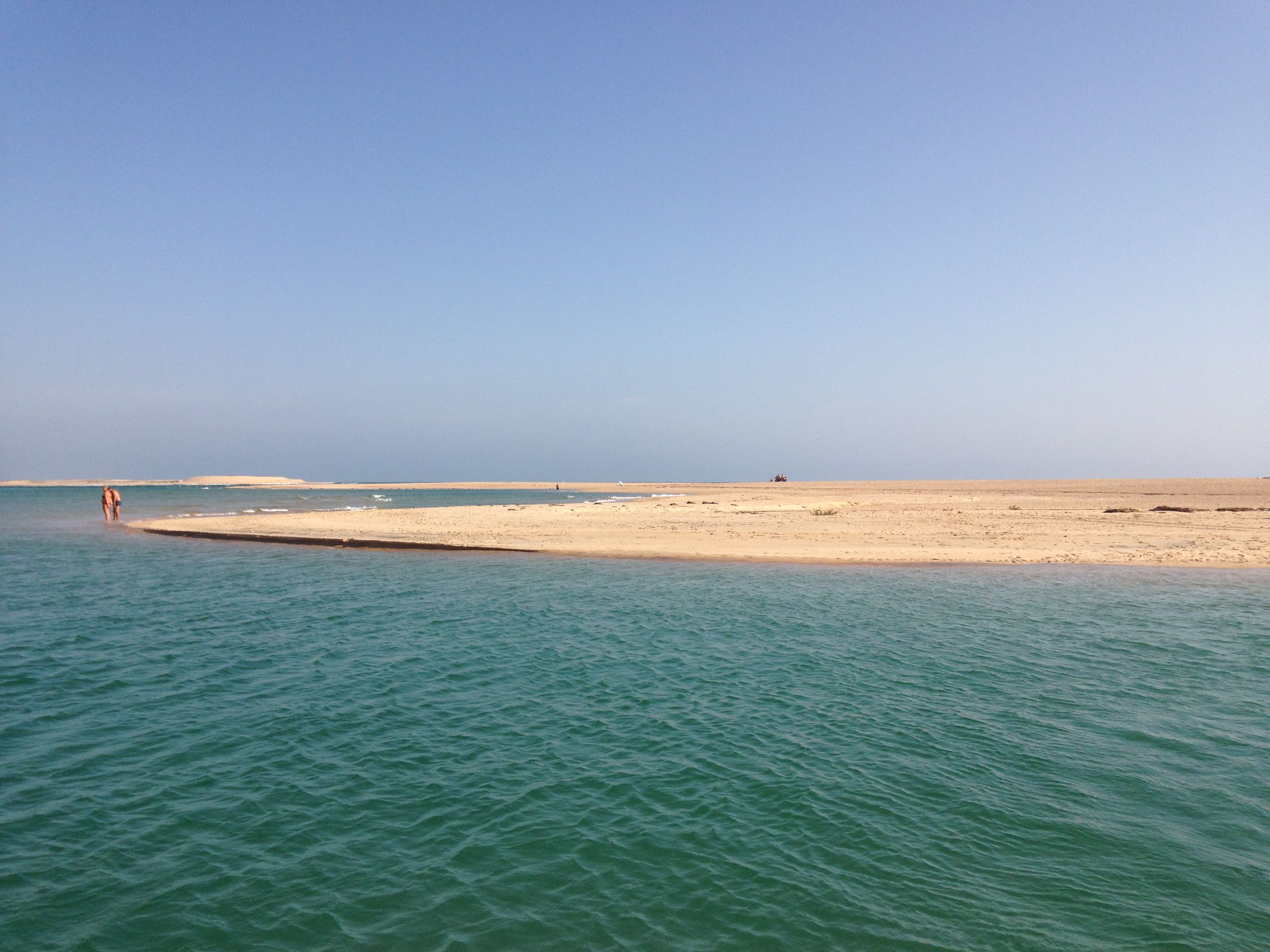 Quicksilver Commander 635 | NessEssity