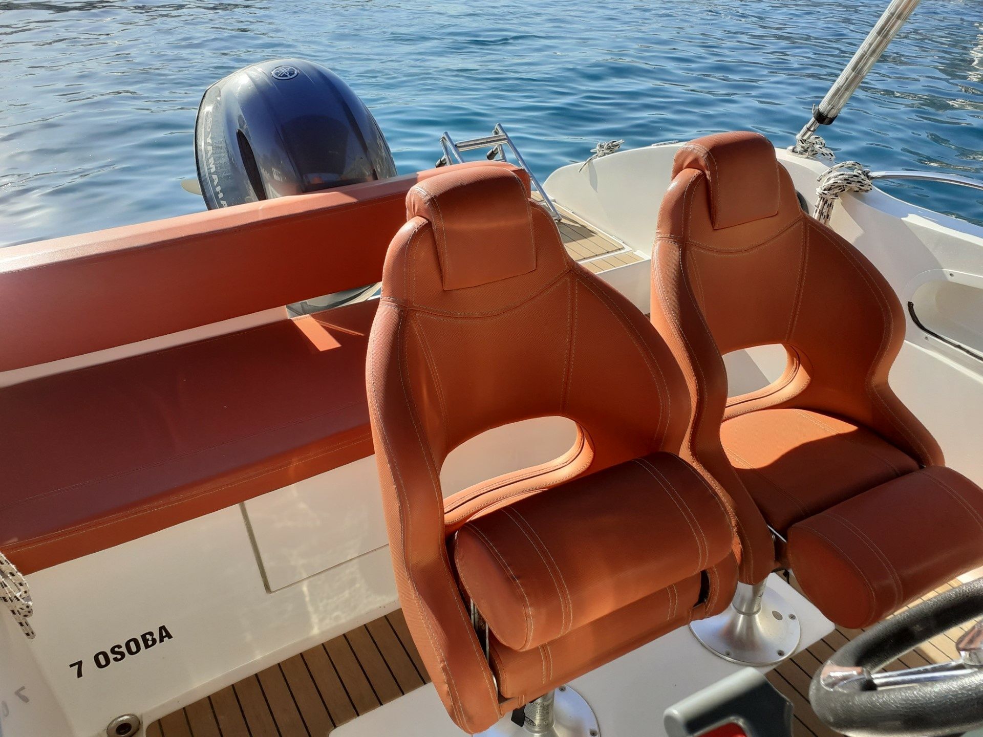 Barracuda 545 | Teranga