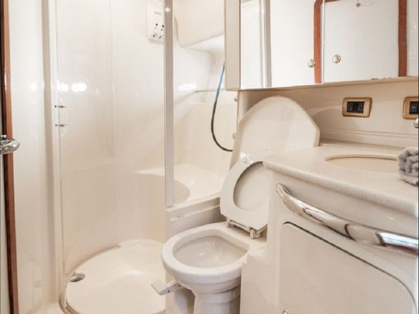 Sea Ray 460 | Palladium