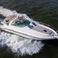 Sea Ray 460 | Palladium