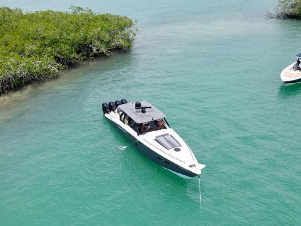 Concept 44 | Black Panther