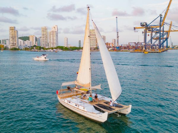 Wharram Pahi 42 | Maui