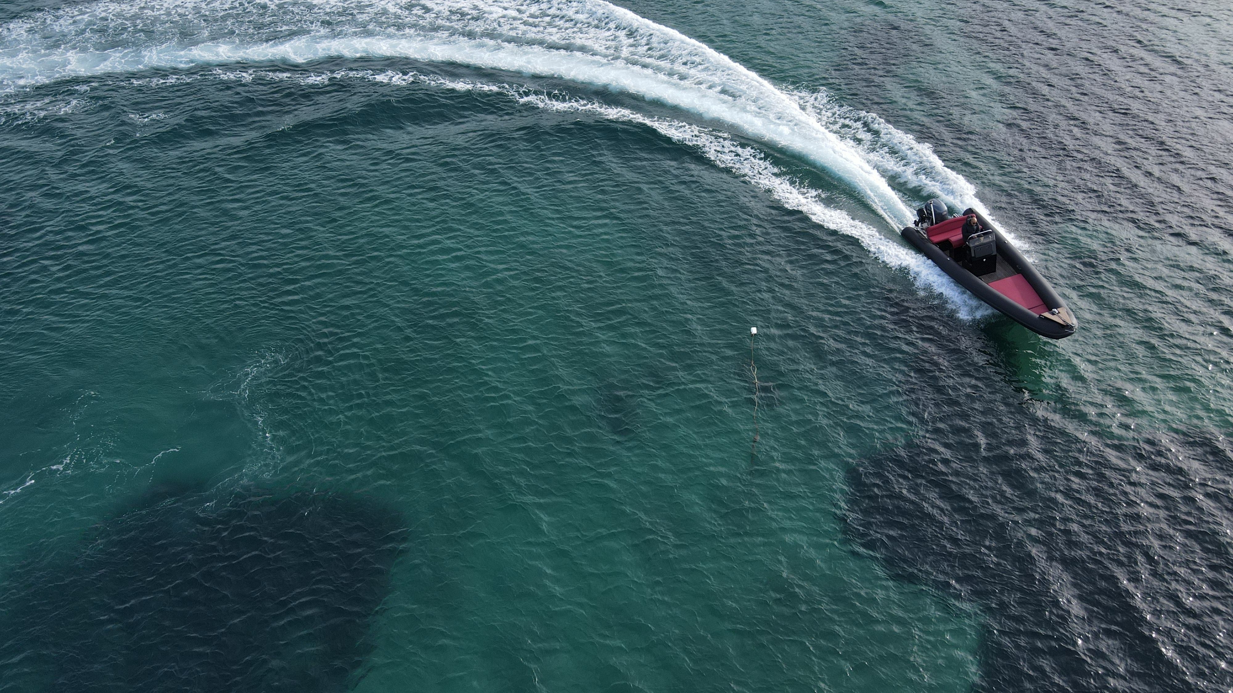 Fost Obsession | Ianos