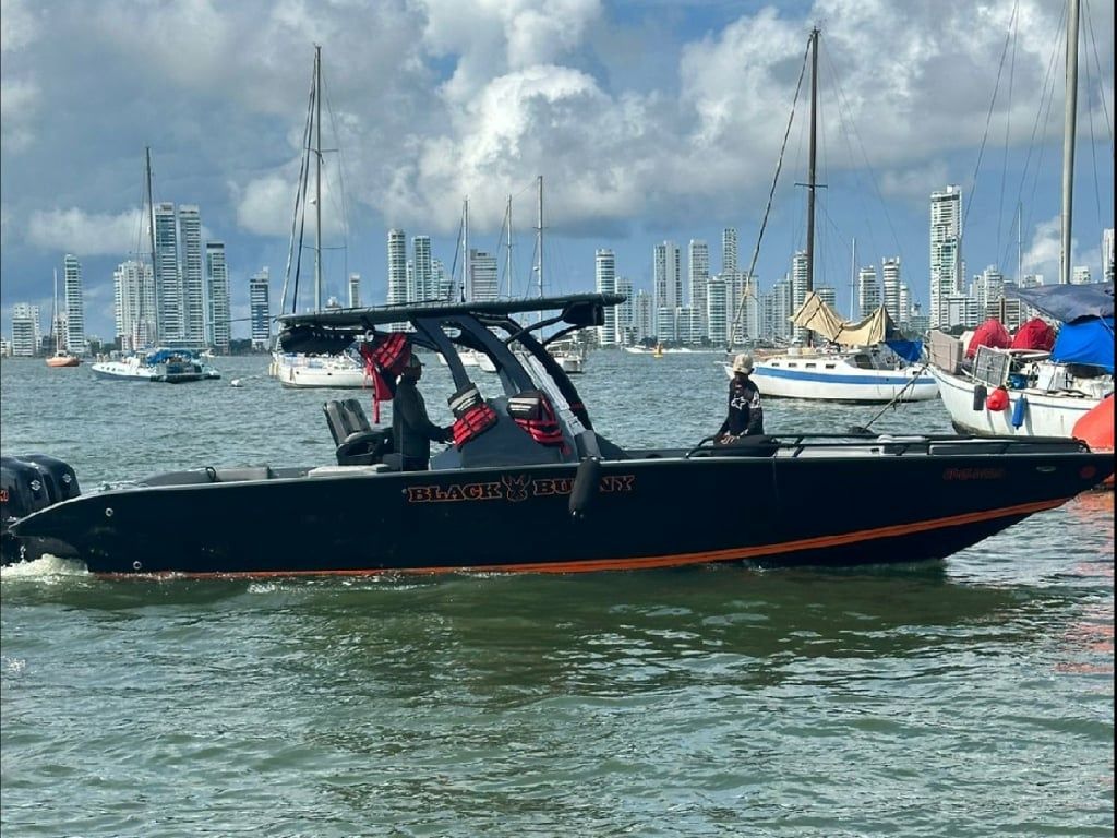 Todomar 34 | Black Bunny