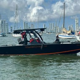 Todomar 34 | Black Bunny