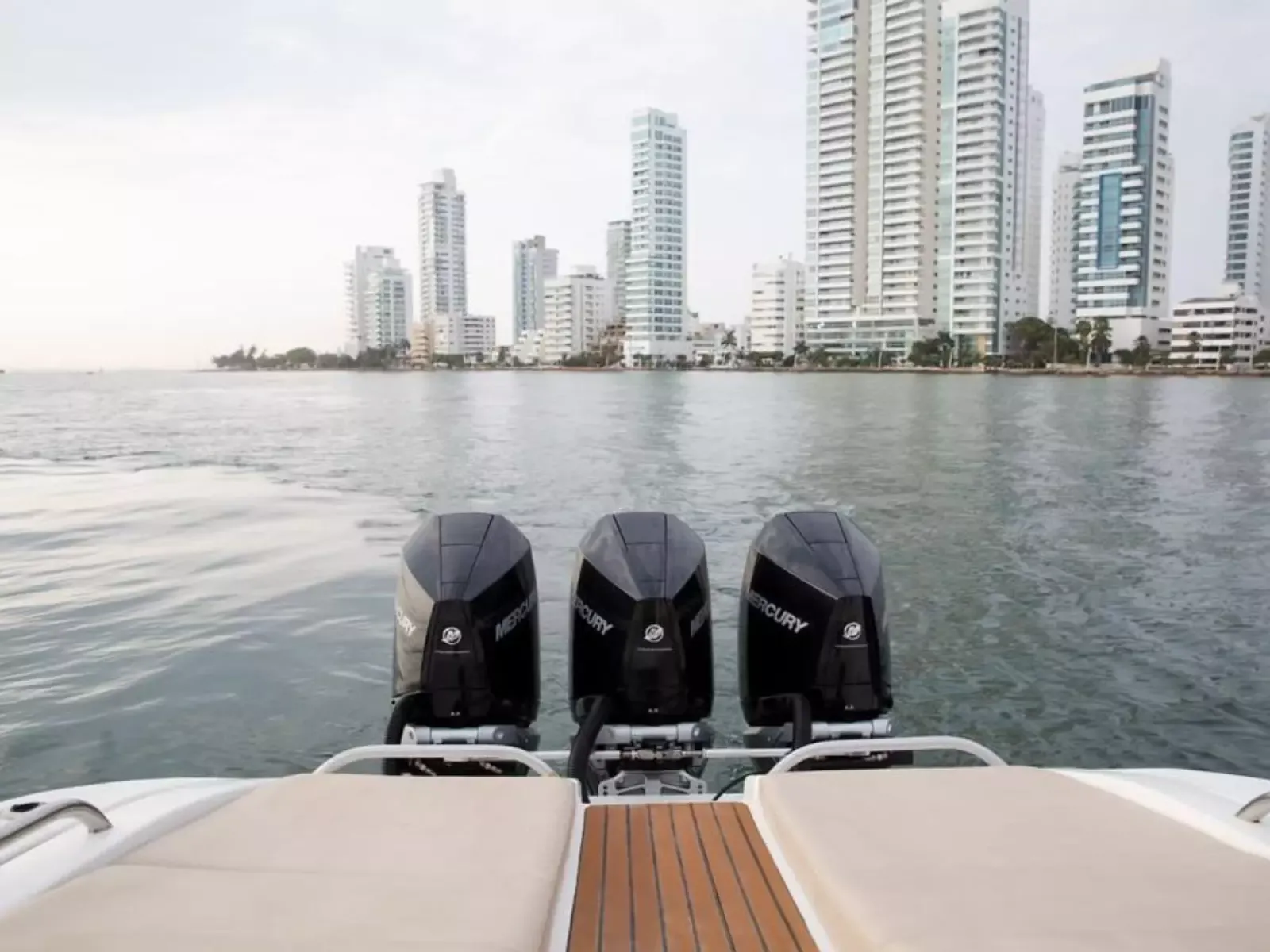 Motomarlin 46 | Zenith