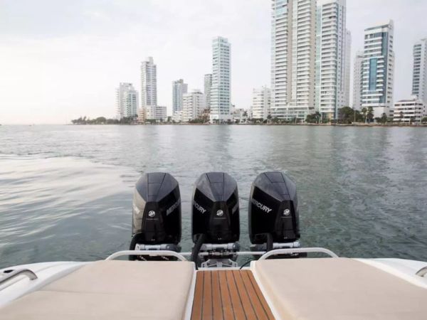 Motomarlin 46 | Zenith