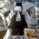 Jeanneau Sun Odyssey 40.3 | Evina